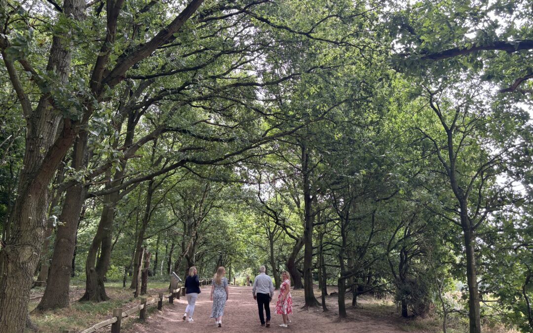 STAT Planning Team trip to Sherwood Forest