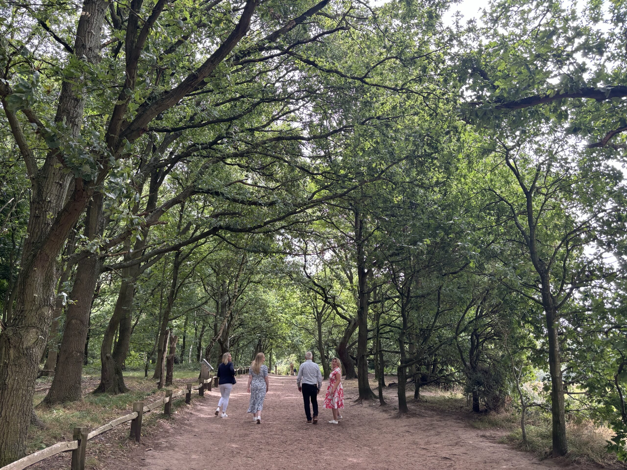 STAT Planning Team trip to Sherwood Forest