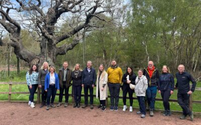 Connecting Through Nature: Our First Netwalking Event in Sherwood Forest