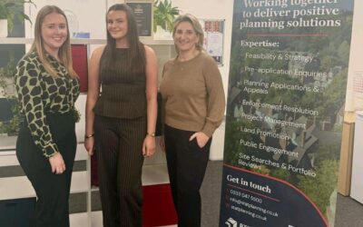 Work Experience at STAT Planning