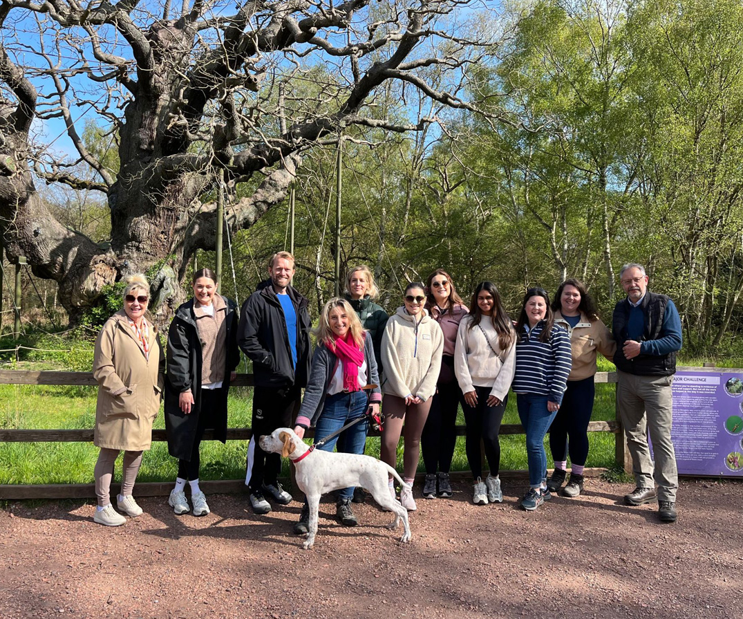 Netwalking in Sherwood Forest